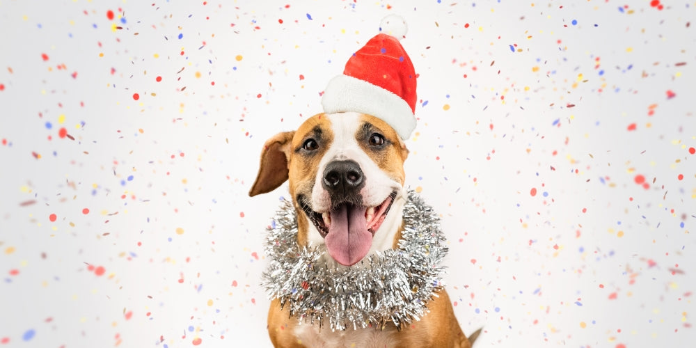 L'indispensable des fêtes, le bonnet de Noël !