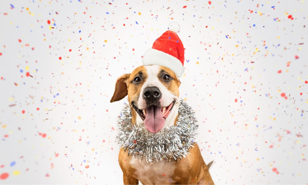 L'indispensable des fêtes, le bonnet de Noël !